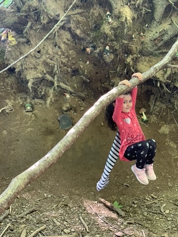 Jody's daughter hanging from a branch on the Gnome Trail