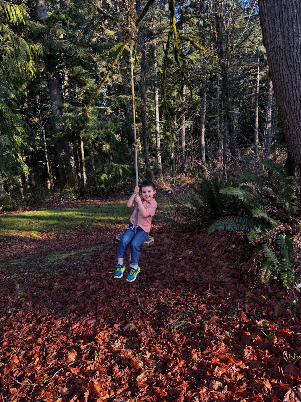Jody's son on a rope swing among tall evergreens