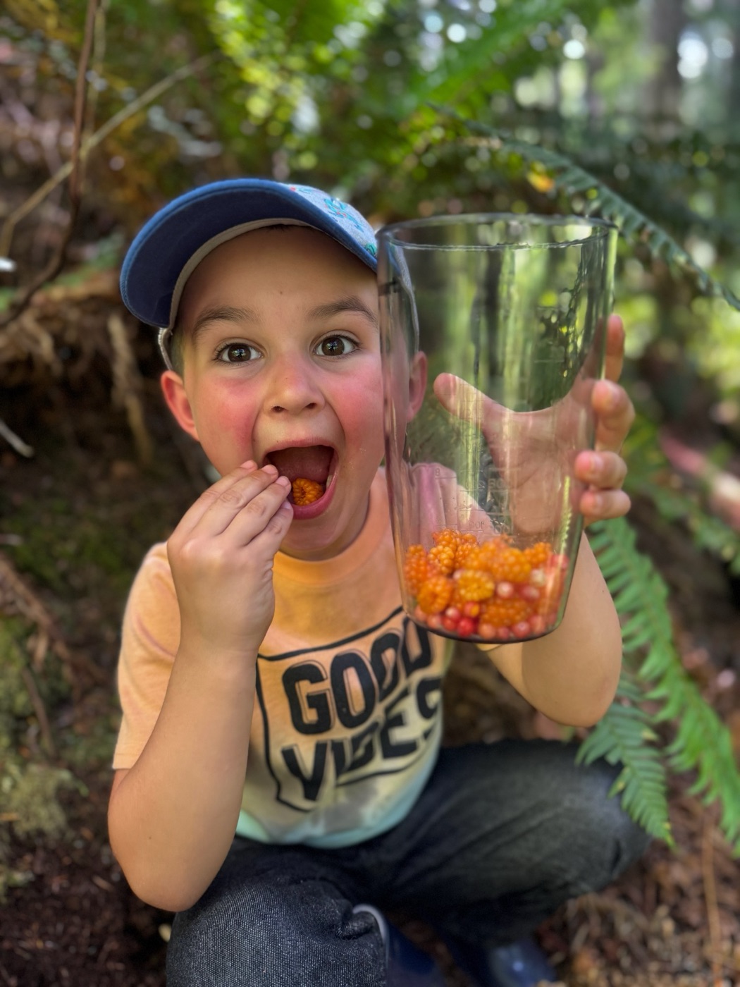 Jody's son eating wild salmonberries from a cup